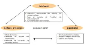 Du schéma conceptuel au schéma logique passage au relationnel