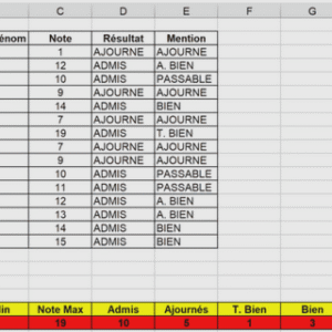 Modélisation financière avec Excel et VBA