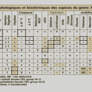 Polycopié de cours de biologie animale pdf
