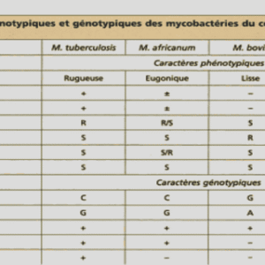 Electronique numérique cours pdf